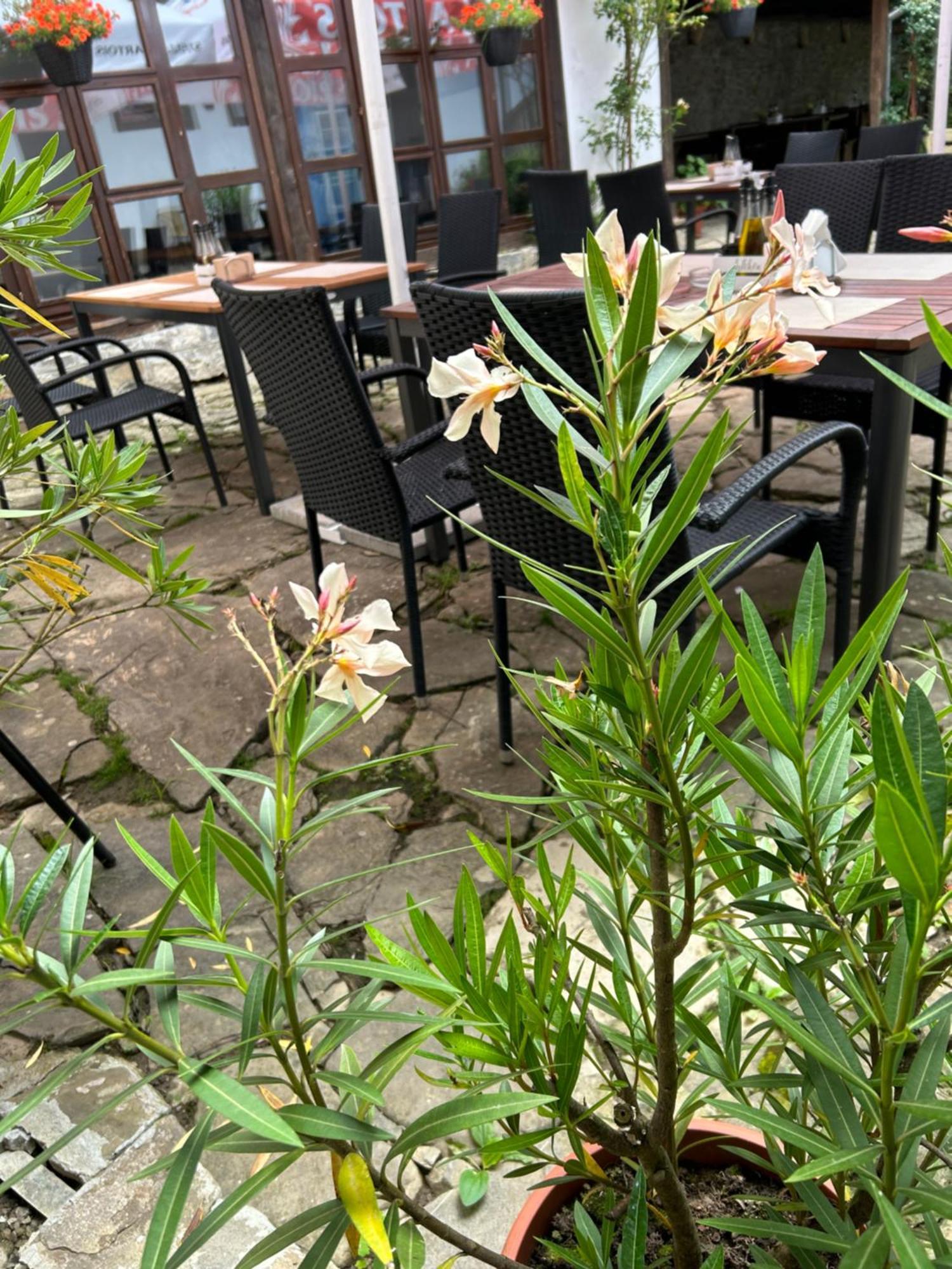 Family Hotel Bile เบลีโอซุม ภายนอก รูปภาพ